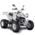 Model Maxxer 300 Wide ON / OFF Road LOF [RFBZ80060] (LA60FK/FJ] Z8